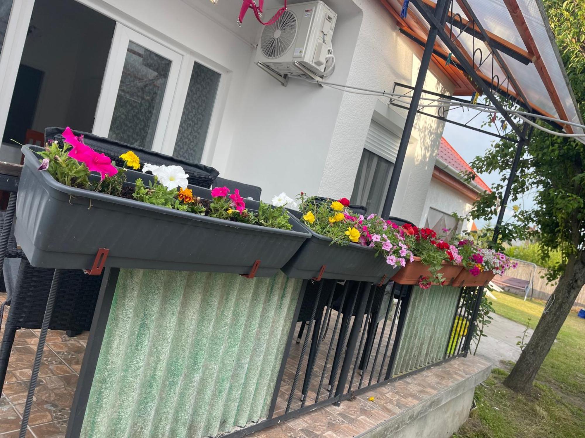 Valentina Apartman Balatonmáriafürdő Eksteriør billede